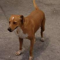 Thumbnail photo of Josephina #2