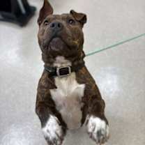 Thumbnail photo of Jet #2