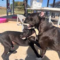 Thumbnail photo of Sally #4