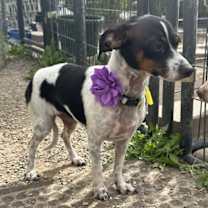 Thumbnail photo of Paris Taylor #2