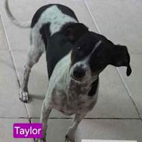 Thumbnail photo of Paris Taylor #3