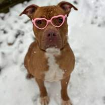 Thumbnail photo of Soda Pop #3