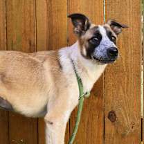 Thumbnail photo of Gretel JuM/JA #3