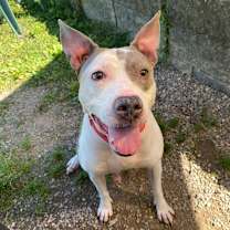 Thumbnail photo of Sisu #1