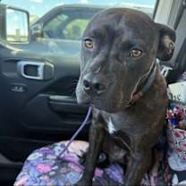 Thumbnail photo of Boomer GDP #2