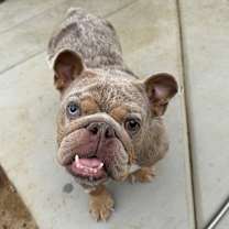 Thumbnail photo of Mildred #2