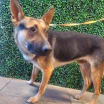 Thumbnail photo of 59270715 #1