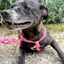 Thumbnail photo of Charlotte #3