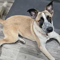 Thumbnail photo of Gretel JuM/JA #1