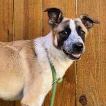 Thumbnail photo of Gretel JuM/JA #4