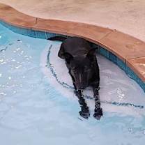 Thumbnail photo of Cleopatra #4