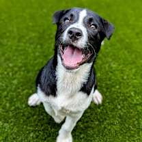 Thumbnail photo of Cacey #1