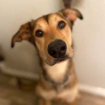 Thumbnail photo of Gilly #3