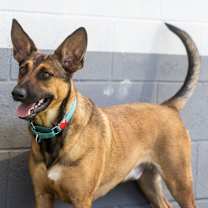 Thumbnail photo of Barnie #1