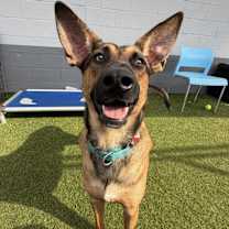 Thumbnail photo of Barnie #2