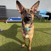 Thumbnail photo of Barnie #3