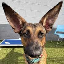 Thumbnail photo of Barnie #4