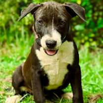 Thumbnail photo of Agnes #3