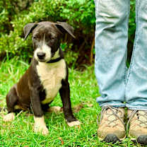 Thumbnail photo of Agnes #4