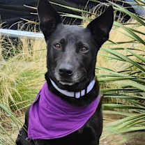 Thumbnail photo of Chetty JuM #2