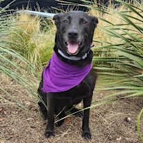 Thumbnail photo of Chetty JuM #3