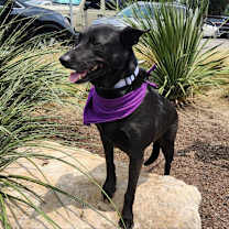 Thumbnail photo of Chetty JuM #4