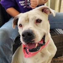 Thumbnail photo of Dawn JuM #2