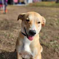 Thumbnail photo of Reese JuM #3