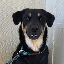 Thumbnail photo of Almond Joy JuM #1