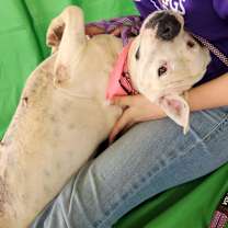 Thumbnail photo of Dawn JuM #3