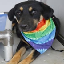 Thumbnail photo of Almond Joy JuM #2