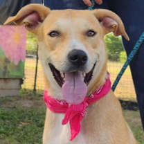 Thumbnail photo of Reese JuM #1