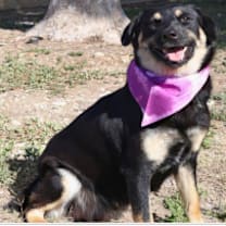 Thumbnail photo of Almond Joy JuM #3