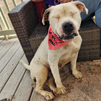 Thumbnail photo of Dawn JuM #4