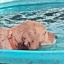 Thumbnail photo of Frankie (Alfonso) #4