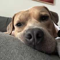 Thumbnail photo of Teefers #1