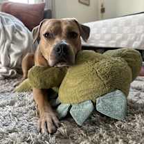 Thumbnail photo of Teefers #2