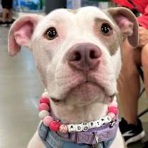 Thumbnail photo of Sinclair #1