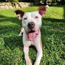 Thumbnail photo of Charles #1