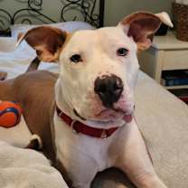 Thumbnail photo of Charles #2