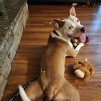 Thumbnail photo of Charles #3