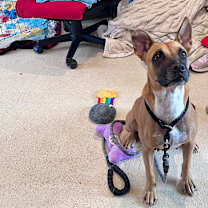 Thumbnail photo of Sophie 7959 #4