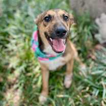 Thumbnail photo of Faith 25-06-038 #2