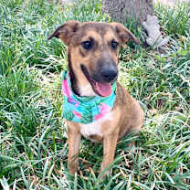 Thumbnail photo of Faith 25-06-038 #3