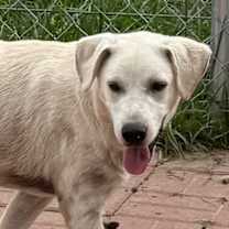 Thumbnail photo of Bingo #1