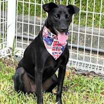 Thumbnail photo of Hero #4