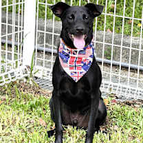 Thumbnail photo of Hero #4