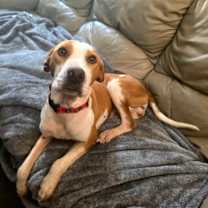 Thumbnail photo of Oliver #4