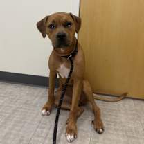 Thumbnail photo of Oakley #1