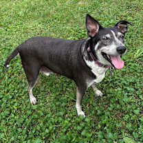 Thumbnail photo of Summer 2074 #1